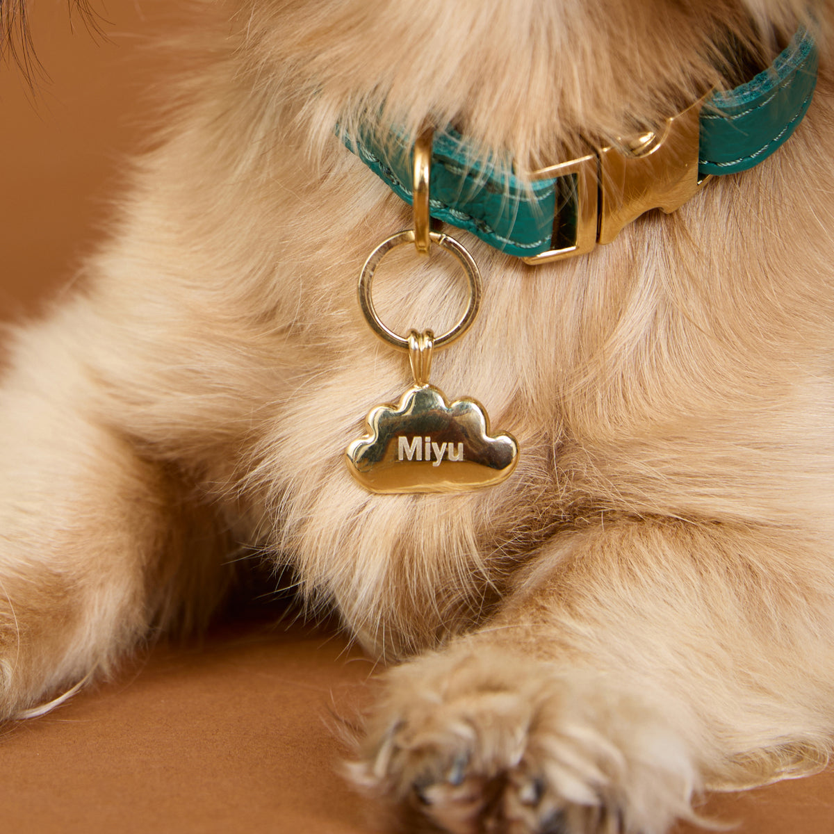 Pet Tags-Astrid & Miyu