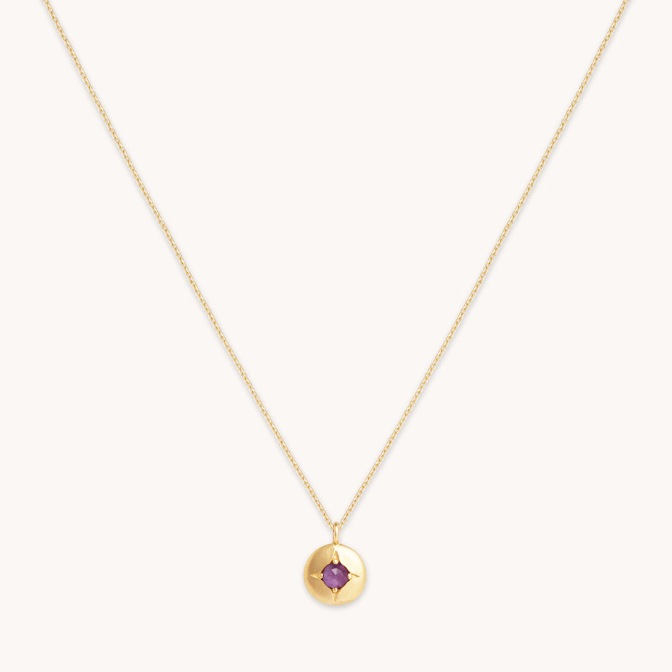 Birthstone Necklaces - February Amethyst Birthstone Necklace in Solid Gold - Pendant Necklace - Astrid & Miyu