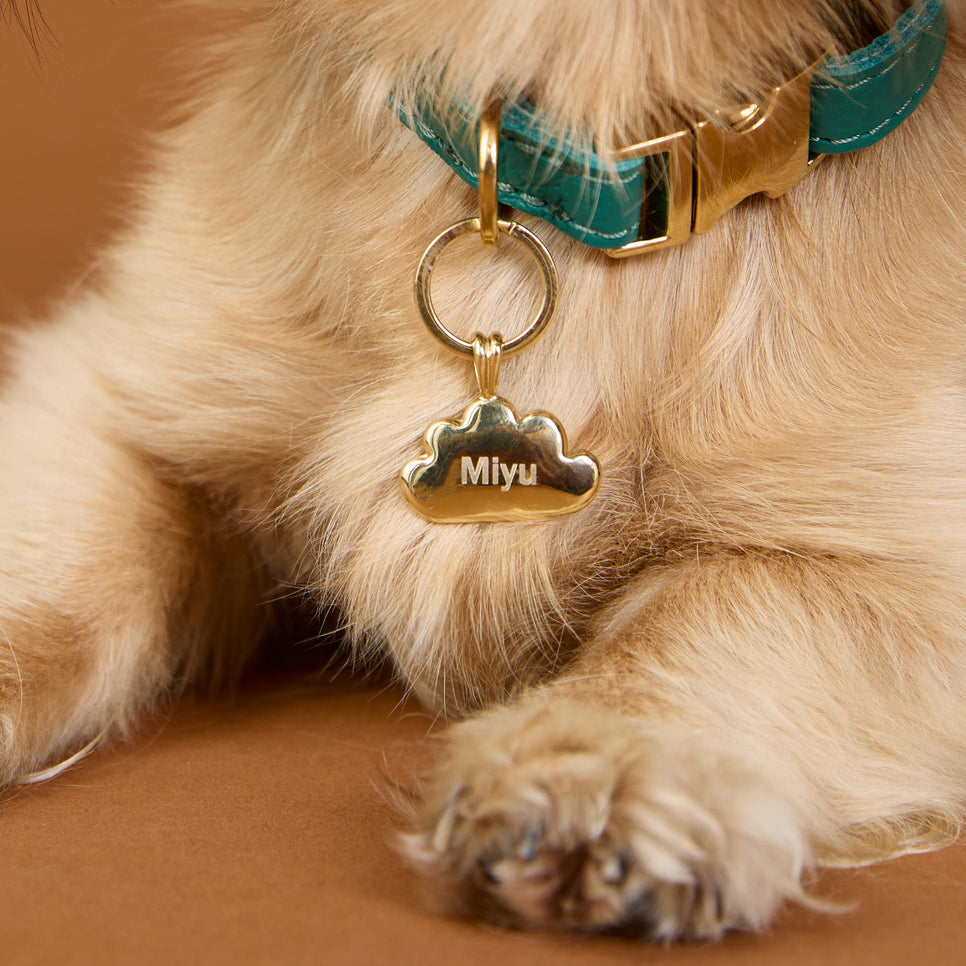 Pet Tags - Cloud Pet Tag in Gold - Merchandise - Astrid & Miyu