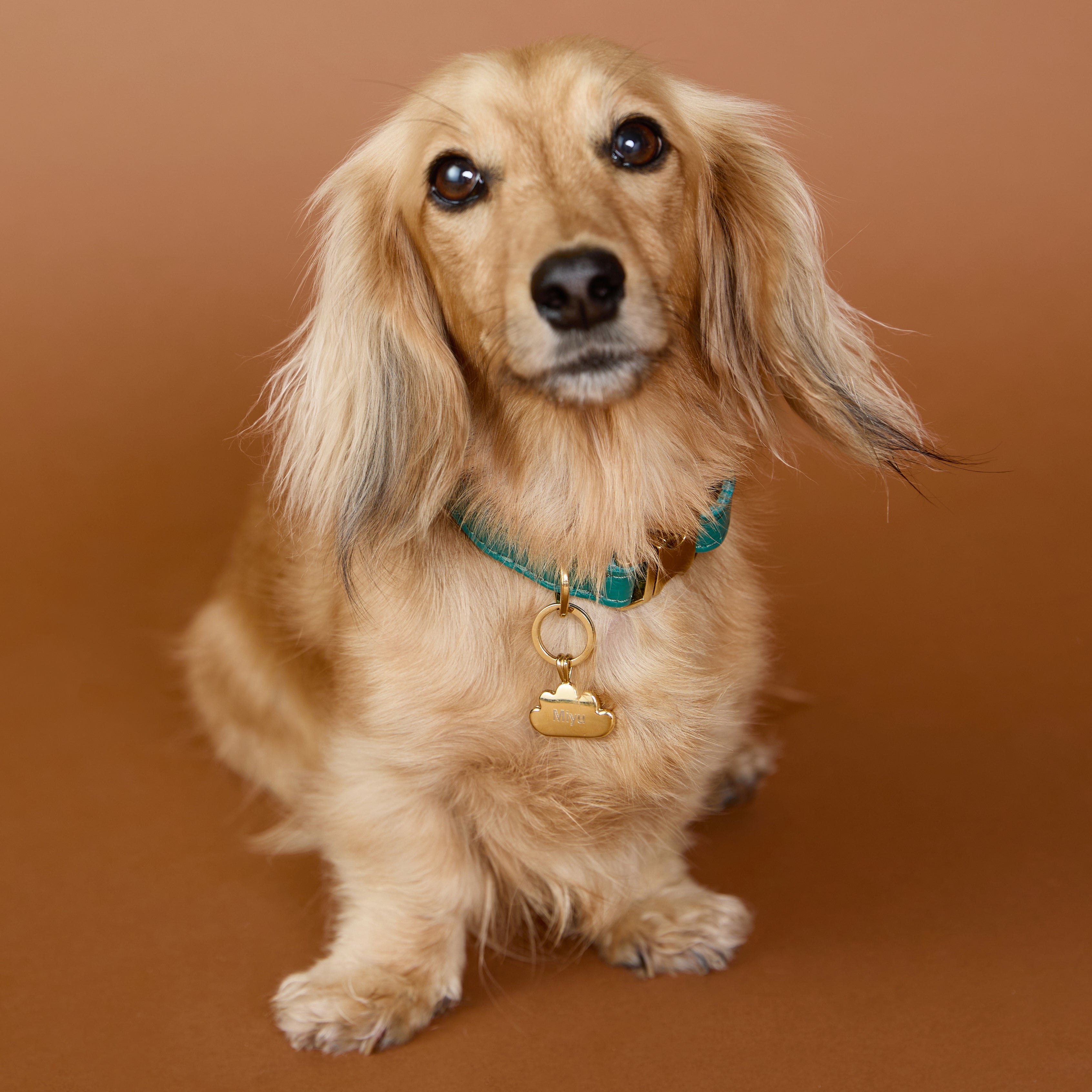 Pet Tags - Cloud Pet Tag in Gold - Merchandise - Astrid & Miyu