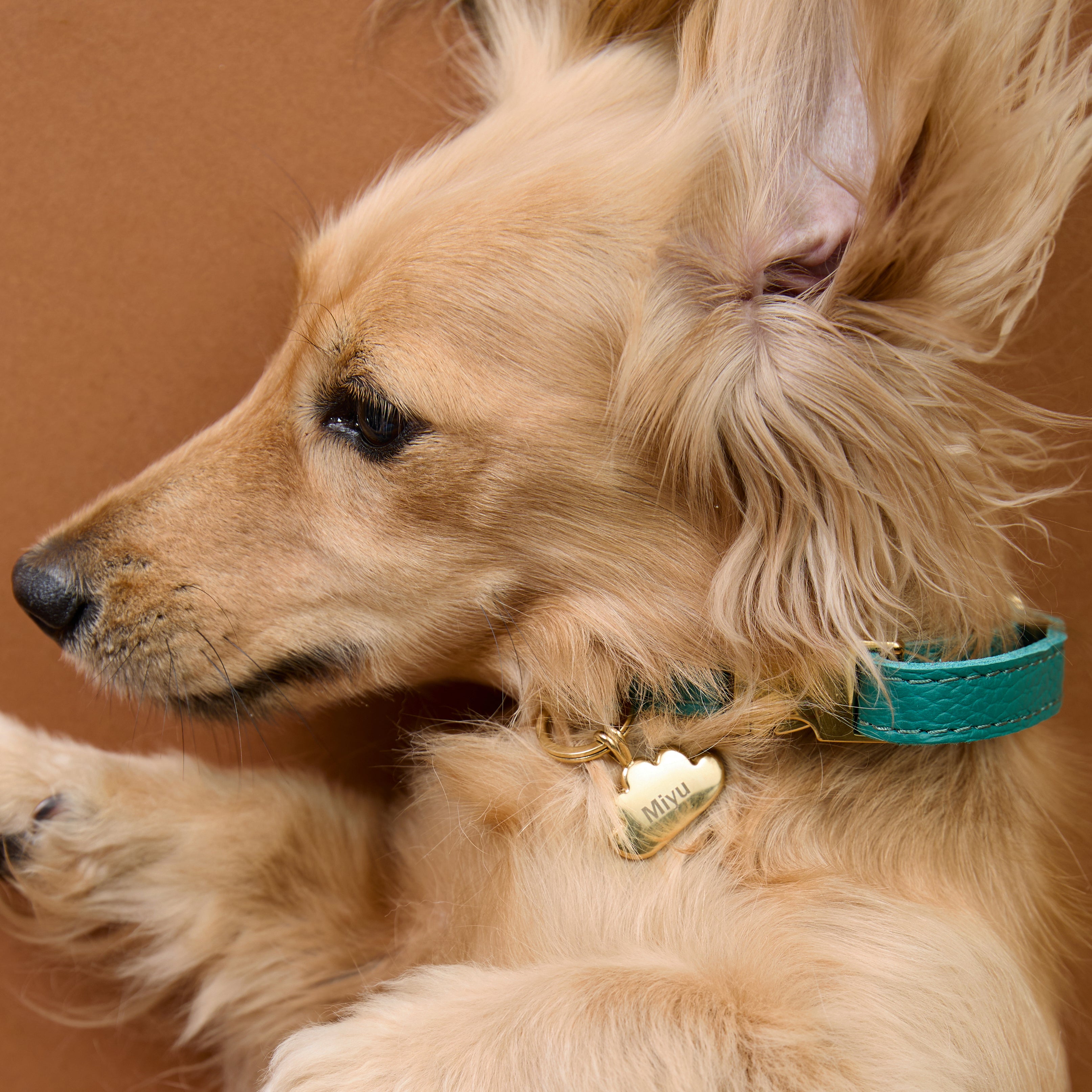 Pet Tags - Cloud Pet Tag in Gold - Merchandise - Astrid & Miyu