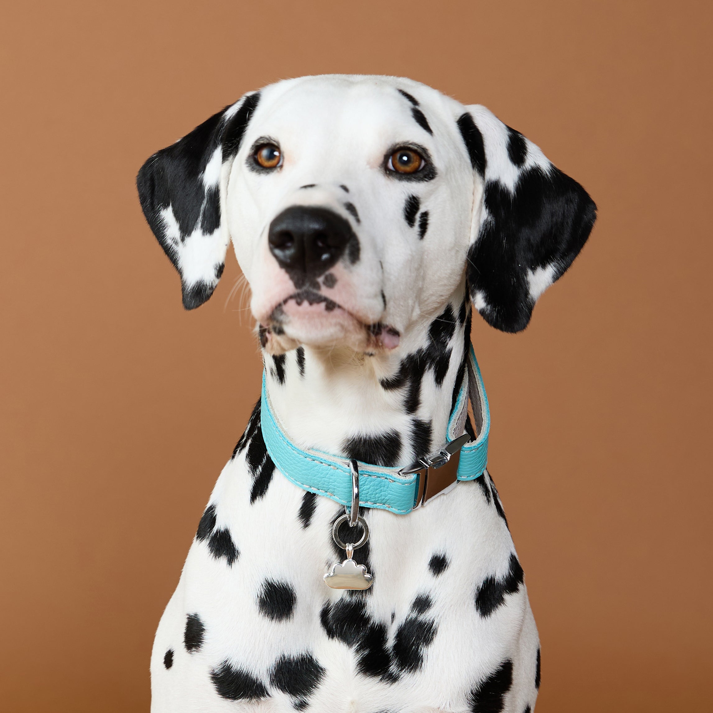 Pet Tags - Cloud Pet Tag in Silver - Merchandise - Astrid & Miyu