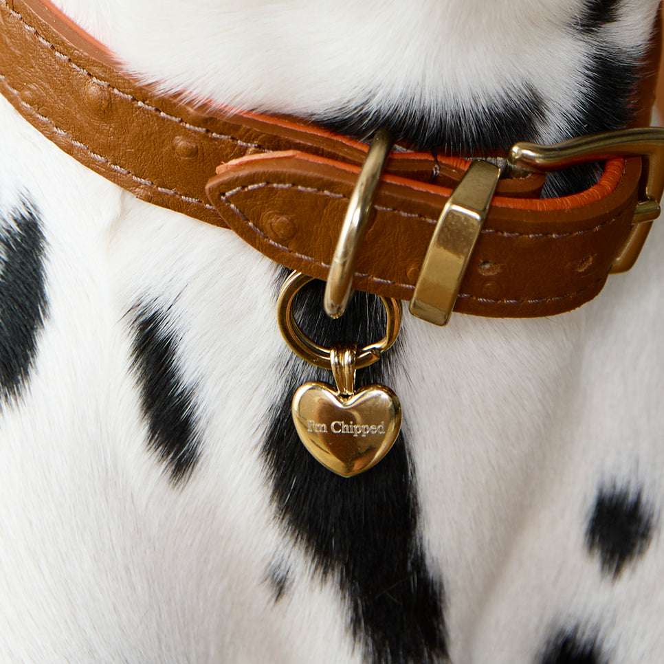 Pet Tags - Heart Pet Tag in Gold - Merchandise - Astrid & Miyu