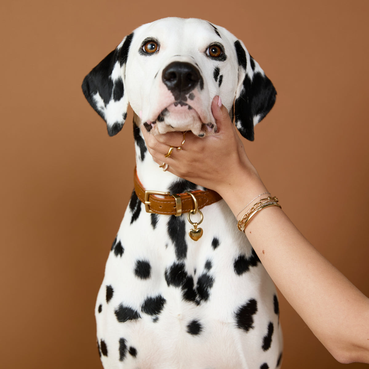 Pet Tags - Heart Pet Tag in Gold - Merchandise - Astrid & Miyu