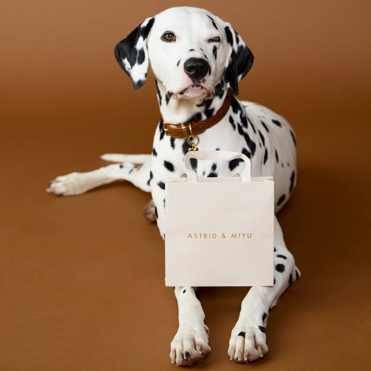 Pet Tags - Heart Pet Tag in Gold - Merchandise - Astrid & Miyu