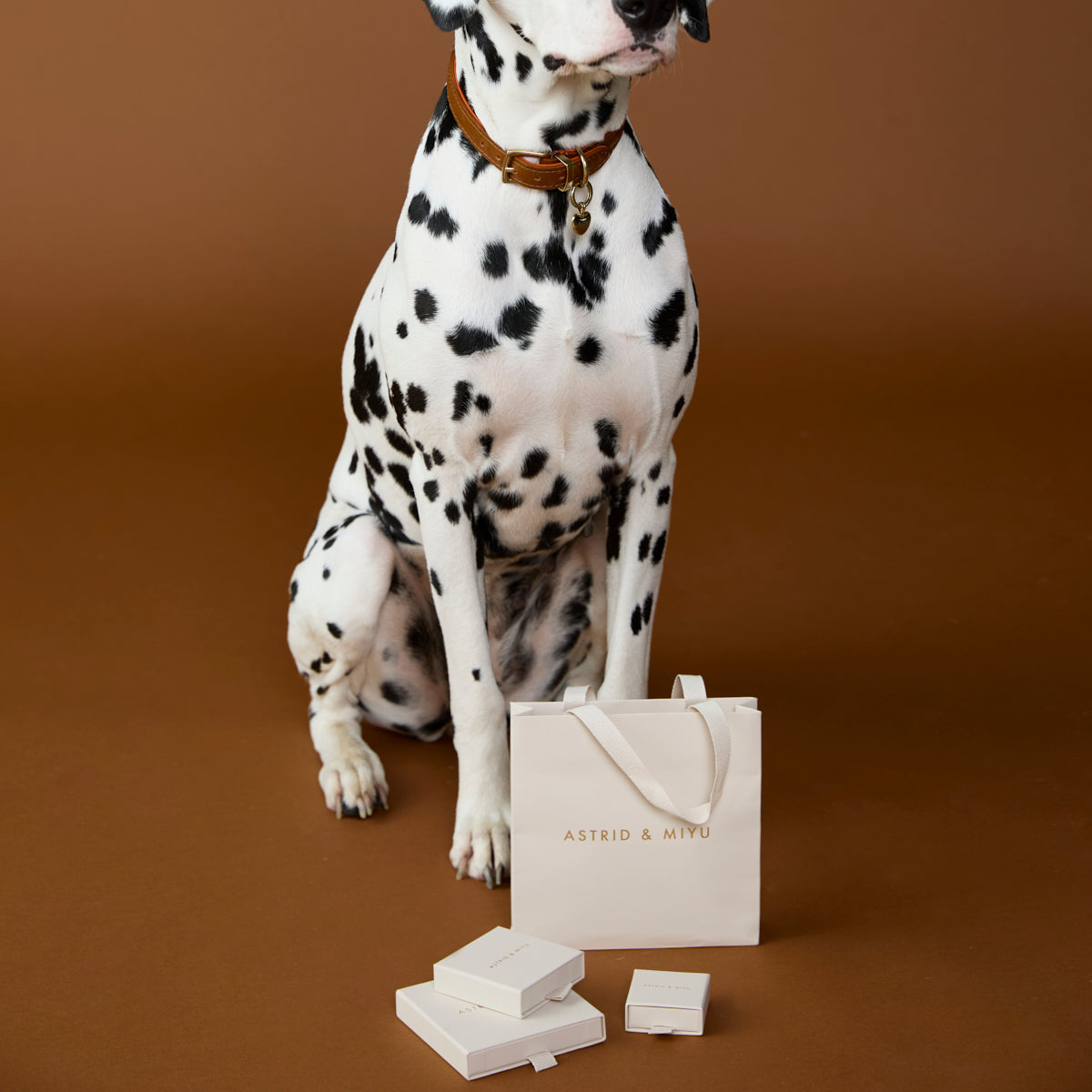 Pet Tags - Heart Pet Tag in Gold - Merchandise - Astrid & Miyu