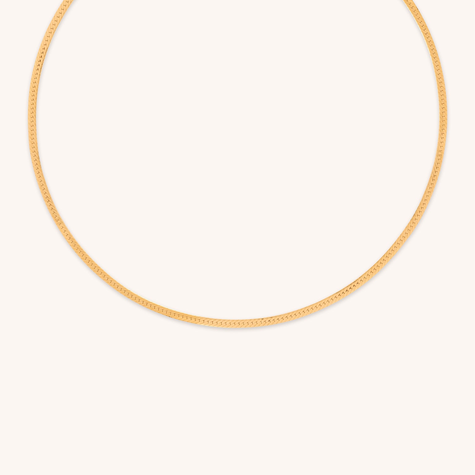 18k Gold Plated Jewellery - Essential Snake Chain Necklace in Gold - Chain Necklace - Astrid & Miyu