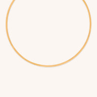 18k Gold Plated Jewellery - Essential Snake Chain Necklace in Gold - Chain Necklace - Astrid & Miyu