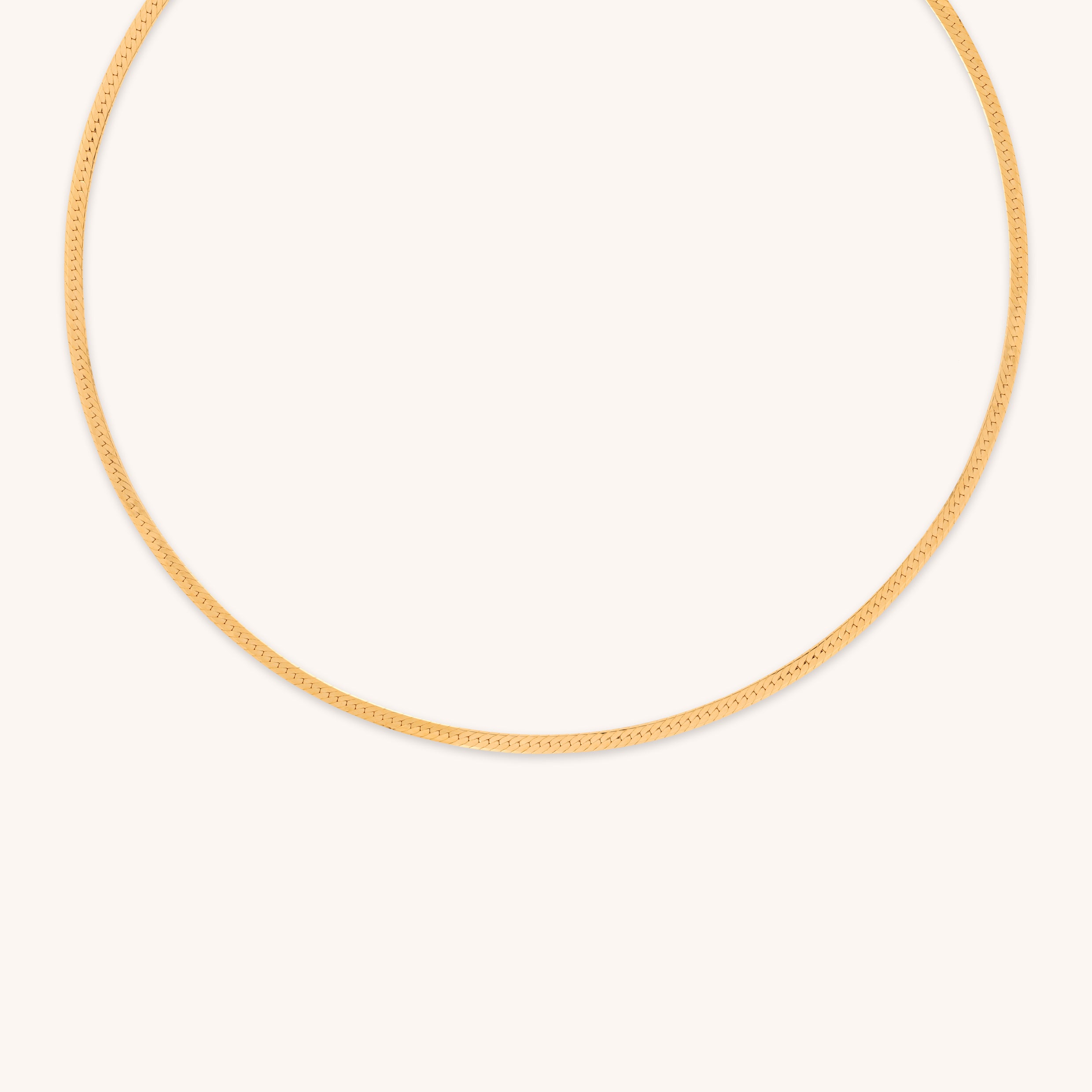 18k Gold Plated Jewellery - Essential Snake Chain Necklace in Gold - Chain Necklace - Astrid & Miyu