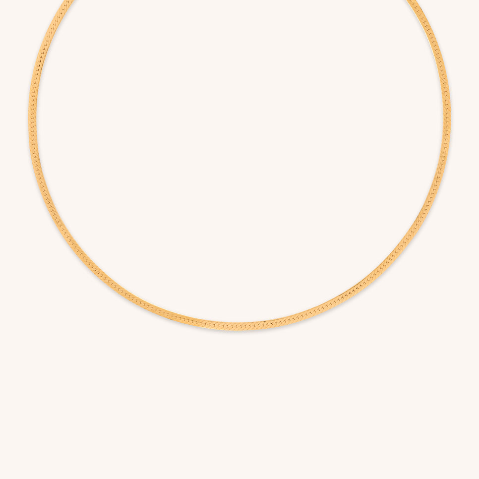 18k Gold Plated Jewellery - Essential Snake Chain Necklace in Gold - Chain Necklace - Astrid & Miyu