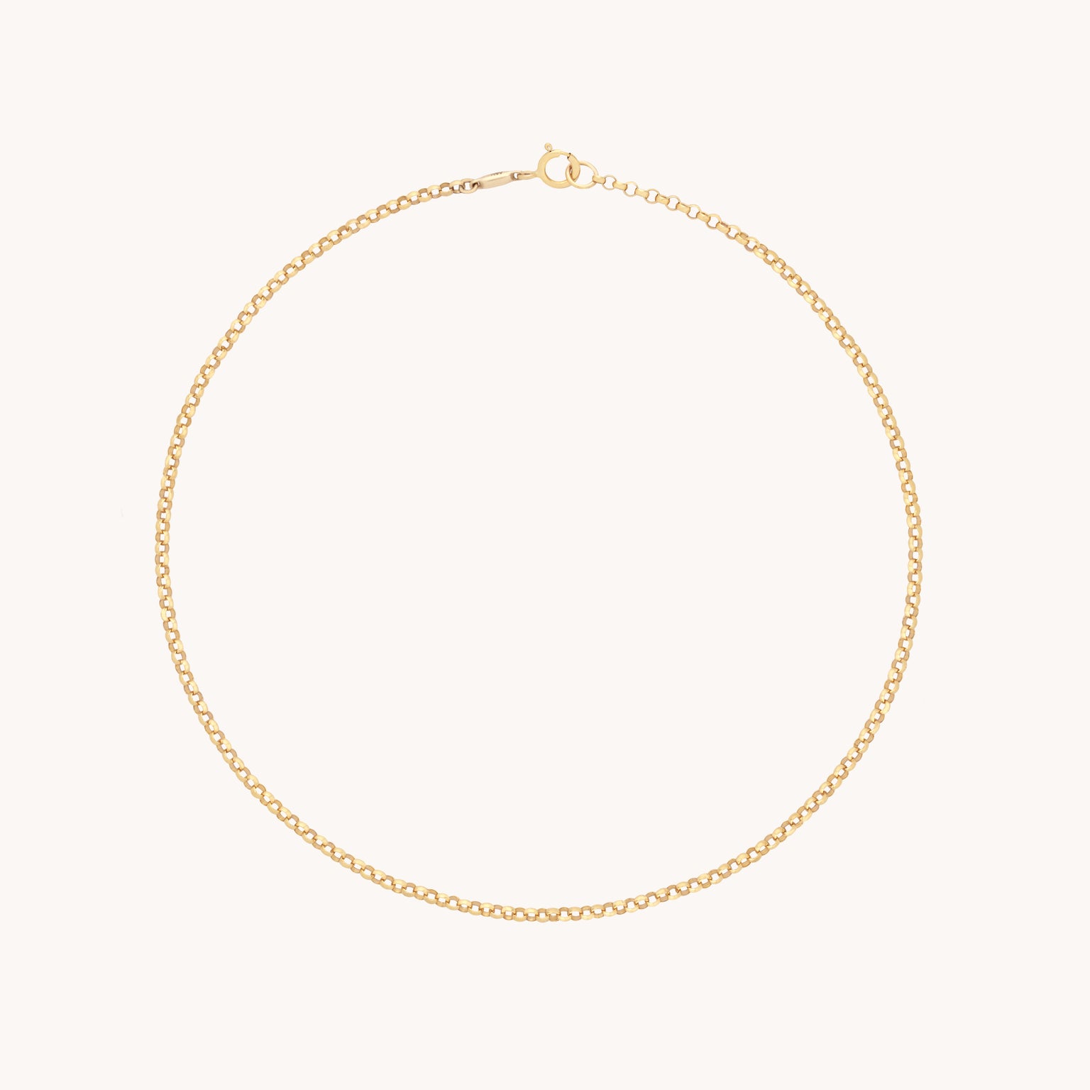 Chelsea Chain Anklet in Solid Gold-Astrid & Miyu