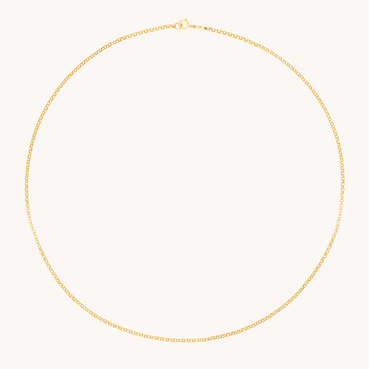 Chelsea Chain Necklace in Solid Gold-Astrid & Miyu