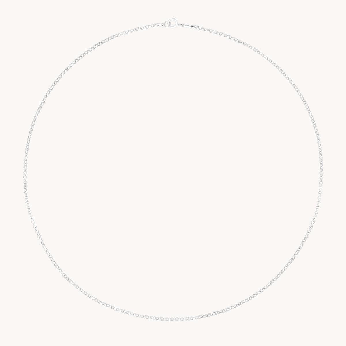 Chelsea Chain Necklace in Solid White Gold-Astrid & Miyu