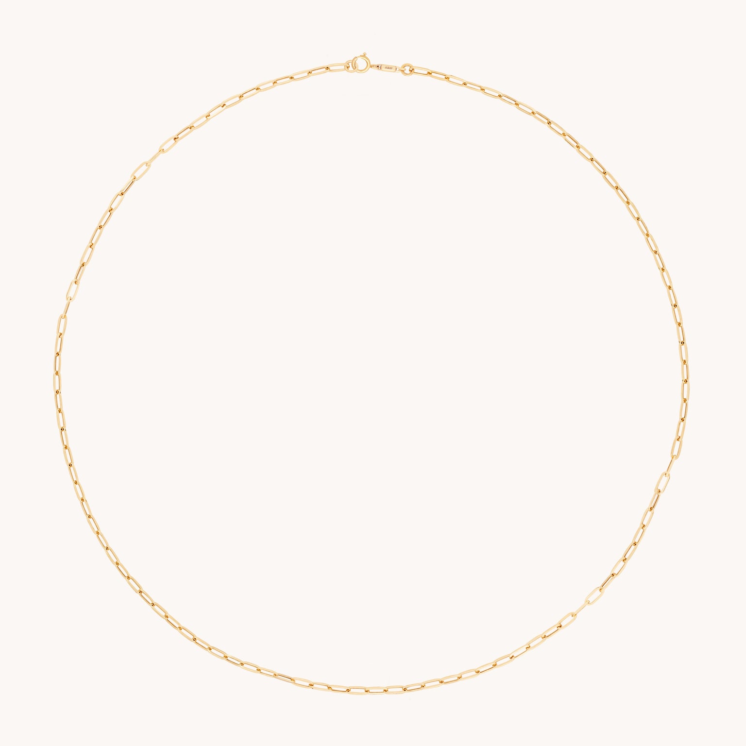 Piccadilly Chain Necklace in Solid Gold-Astrid & Miyu
