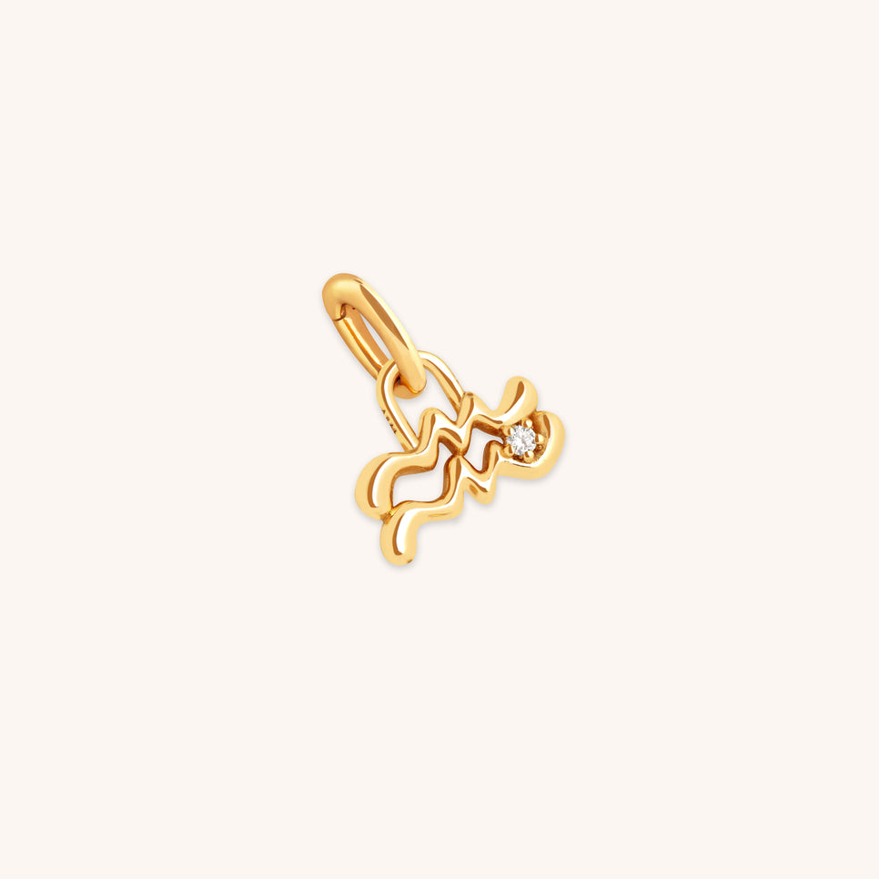 18k Gold Plated Jewellery - Aquarius Zodiac Talisman Charm in Gold - Talisman Charm - Astrid & Miyu