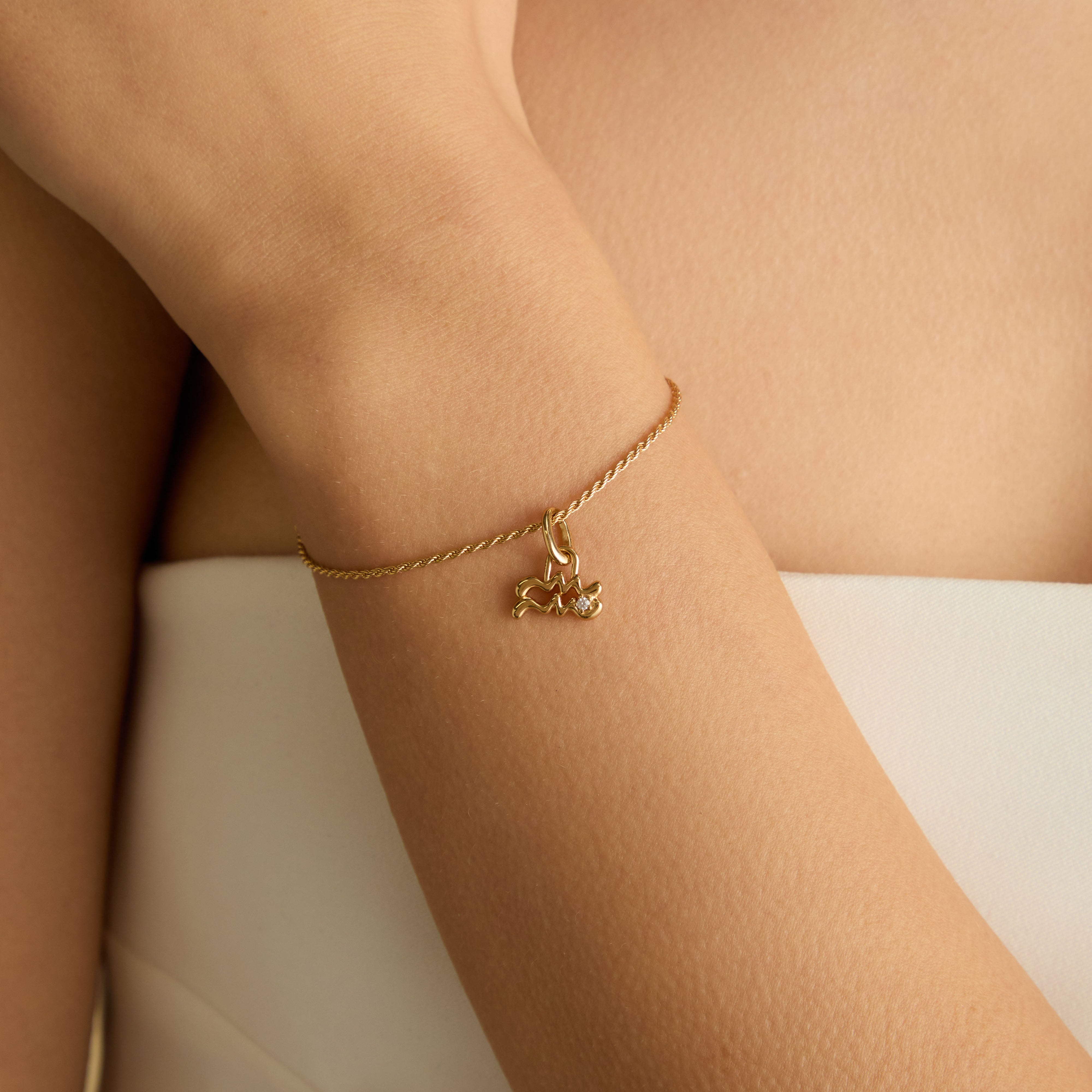 18k Gold Plated Jewellery - Aquarius Zodiac Talisman Charm in Gold - Talisman Charm - Astrid & Miyu