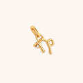 18k Gold Plated Jewellery - Capricorn Zodiac Talisman Charm in Gold - Talisman Charm - Astrid & Miyu