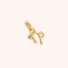 18k Gold Plated Jewellery - Capricorn Zodiac Talisman Charm in Gold - Talisman Charm - Astrid & Miyu