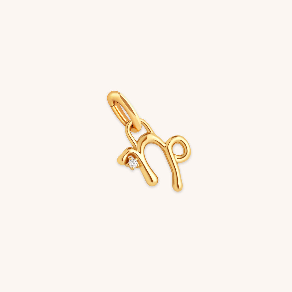 18k Gold Plated Jewellery - Capricorn Zodiac Talisman Charm in Gold - Talisman Charm - Astrid & Miyu