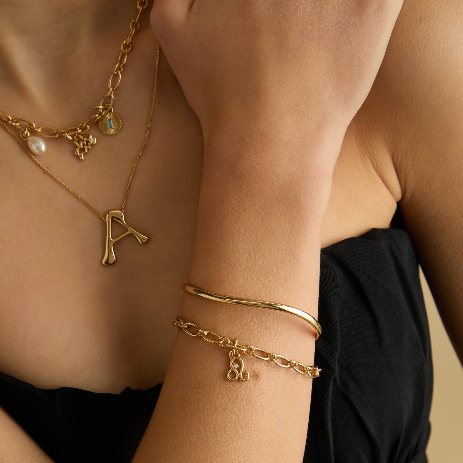 18k Gold Plated Jewellery - Leo Zodiac Talisman Charm in Gold - Talisman Charm - Astrid & Miyu