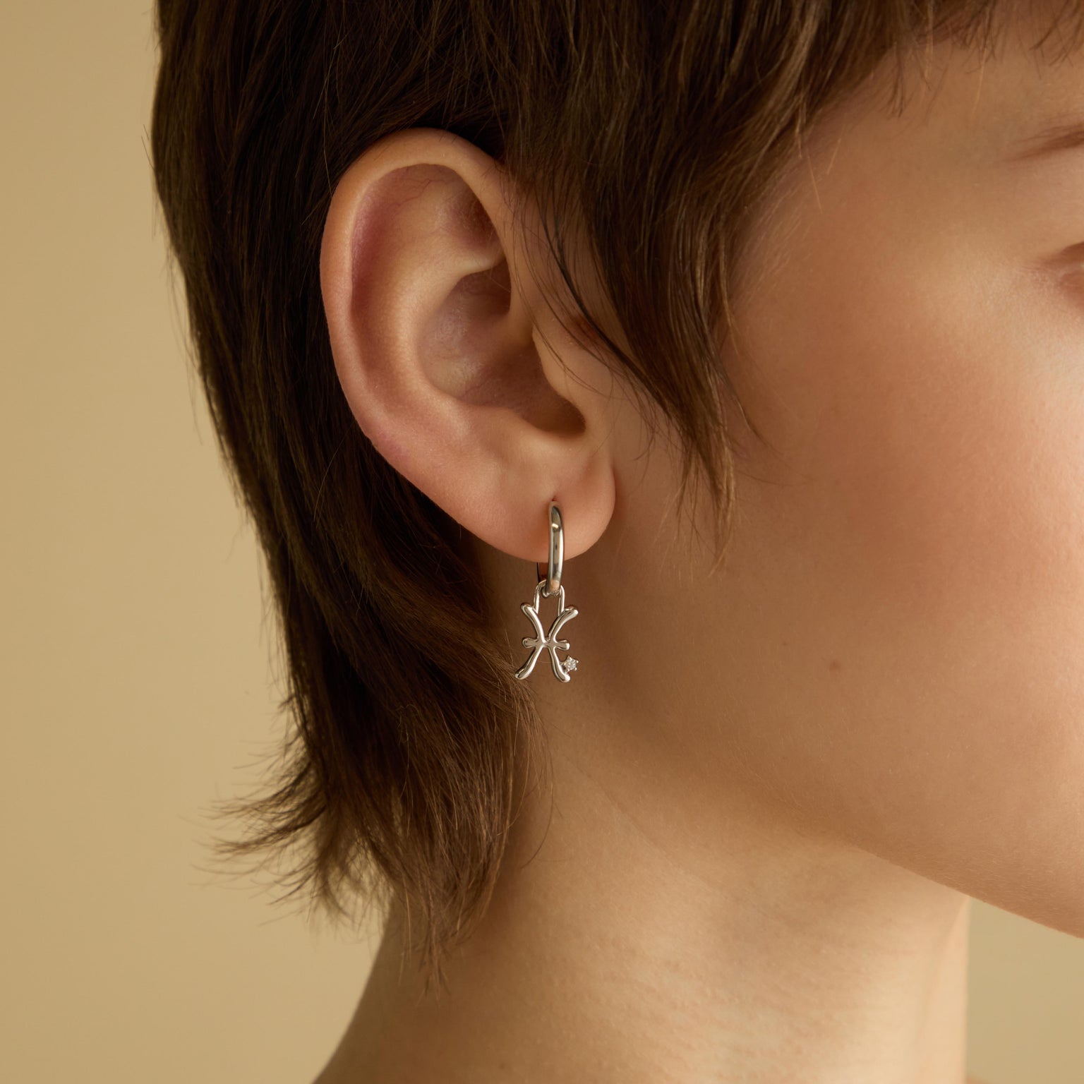 Hoop Charms - Pisces Zodiac Talisman Charm in Silver - Talisman Charm - Astrid & Miyu