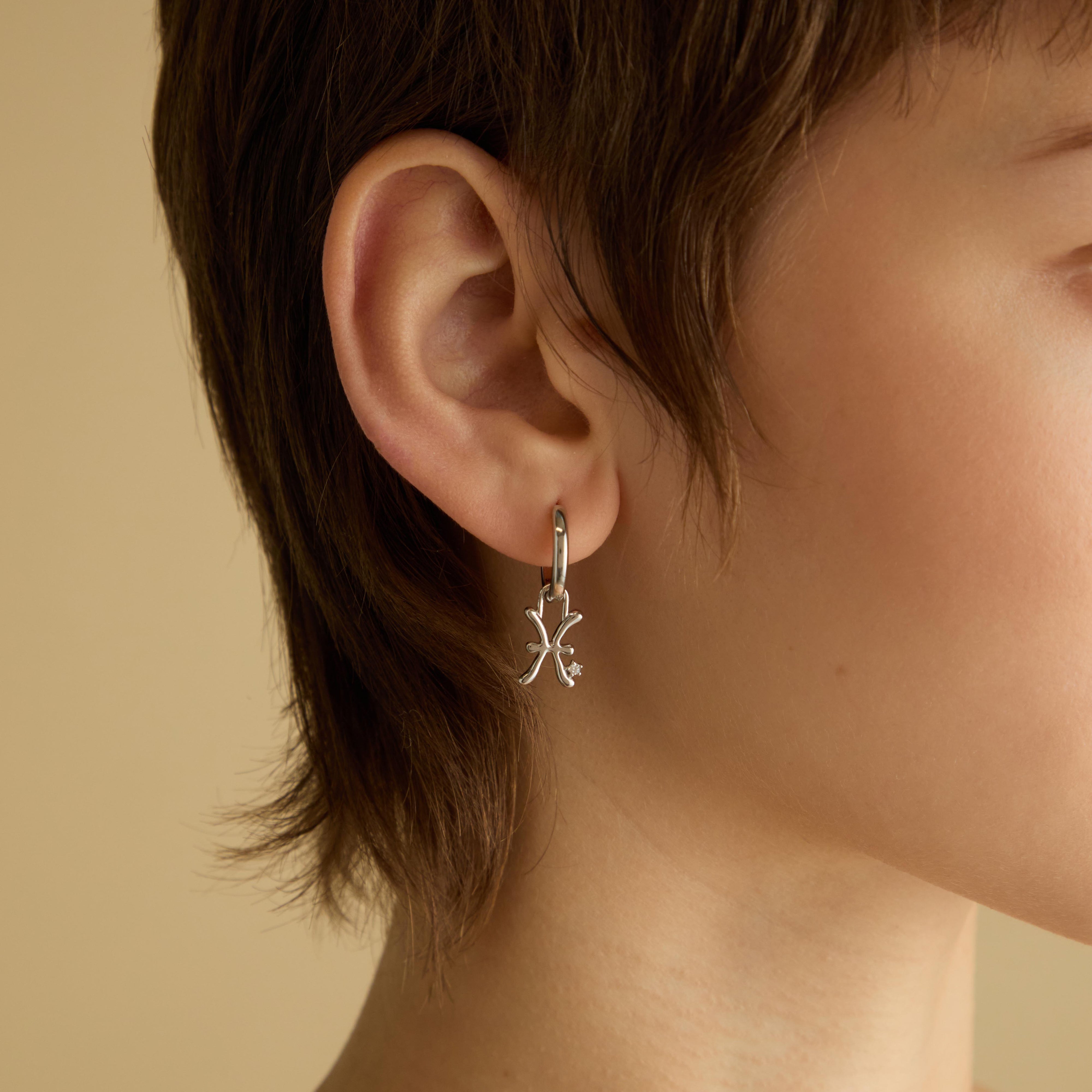 Hoop Charms - Pisces Zodiac Talisman Charm in Silver - Talisman Charm - Astrid & Miyu