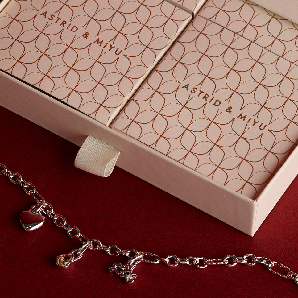 Bold Necklace Charming Gift Set in Silver-Astrid & Miyu