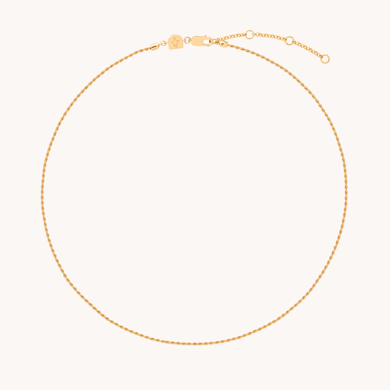 18k Gold Plated Jewellery - Essential Rope Chain Necklace in Gold - Chain Necklace - Astrid & Miyu