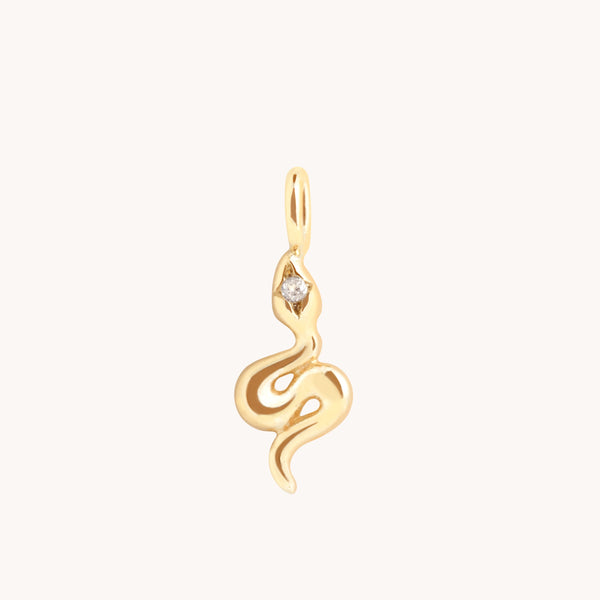 Eternity Collection - White Topaz Snake Charm 9k Gold - Welding Charms - Astrid & Miyu