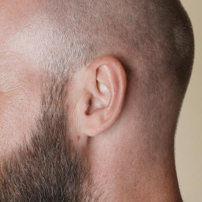 Ear_Visualiser_block_2_ad51708a-6a55-465f-9e8b-e75019e56a67-Astrid & Miyu