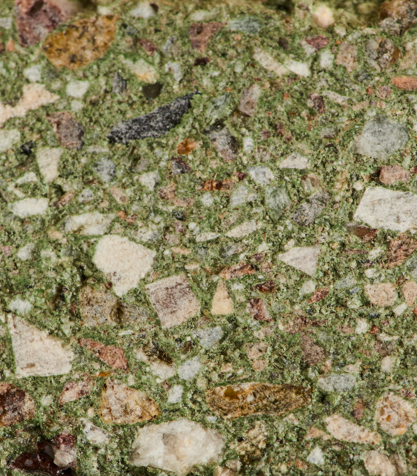 Hero_Desktop_2-Astrid & Miyu