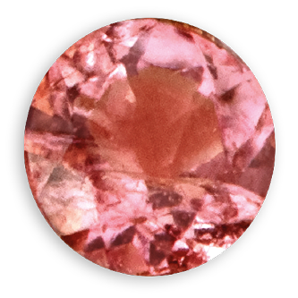 January_1_e3d23d04-a6f3-43f5-a2fc-47c70259c17b-Astrid & Miyu