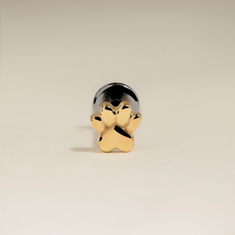 Paw Titanium Piercing Stud in Gold-Astrid & Miyu