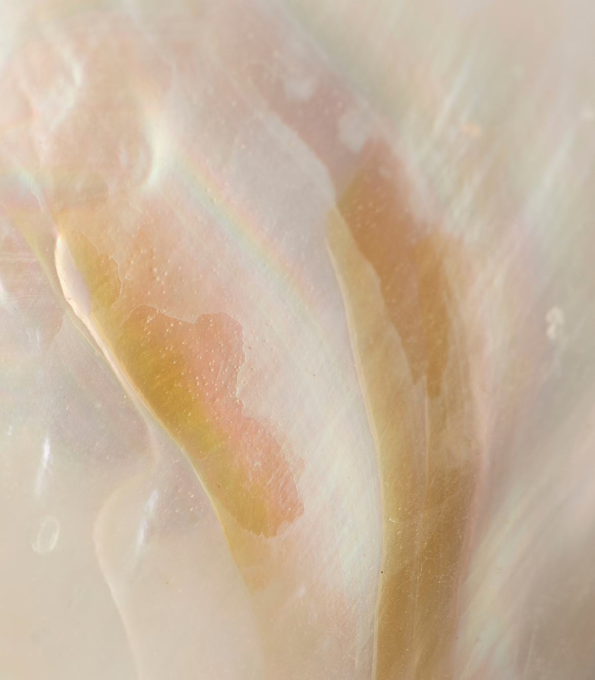 Pearls_faf2d84b-23ec-45d8-bfb5-f2cedd03b3e3-Astrid & Miyu