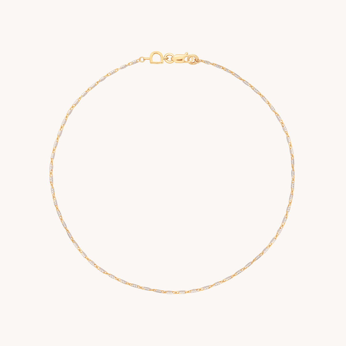 Carnaby Story Chain Anklet in Solid Gold-Astrid & Miyu