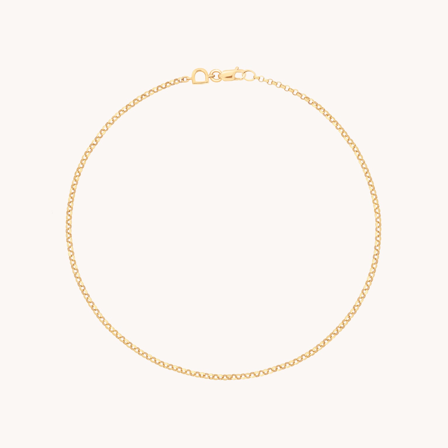 Chelsea Story Story Chain Anklet in Solid Gold-Astrid & Miyu