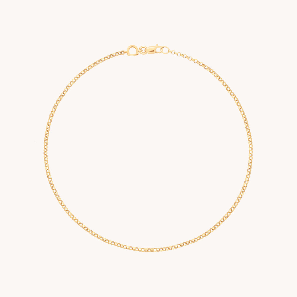 Chelsea Story Story Chain Anklet in Solid Gold-Astrid & Miyu