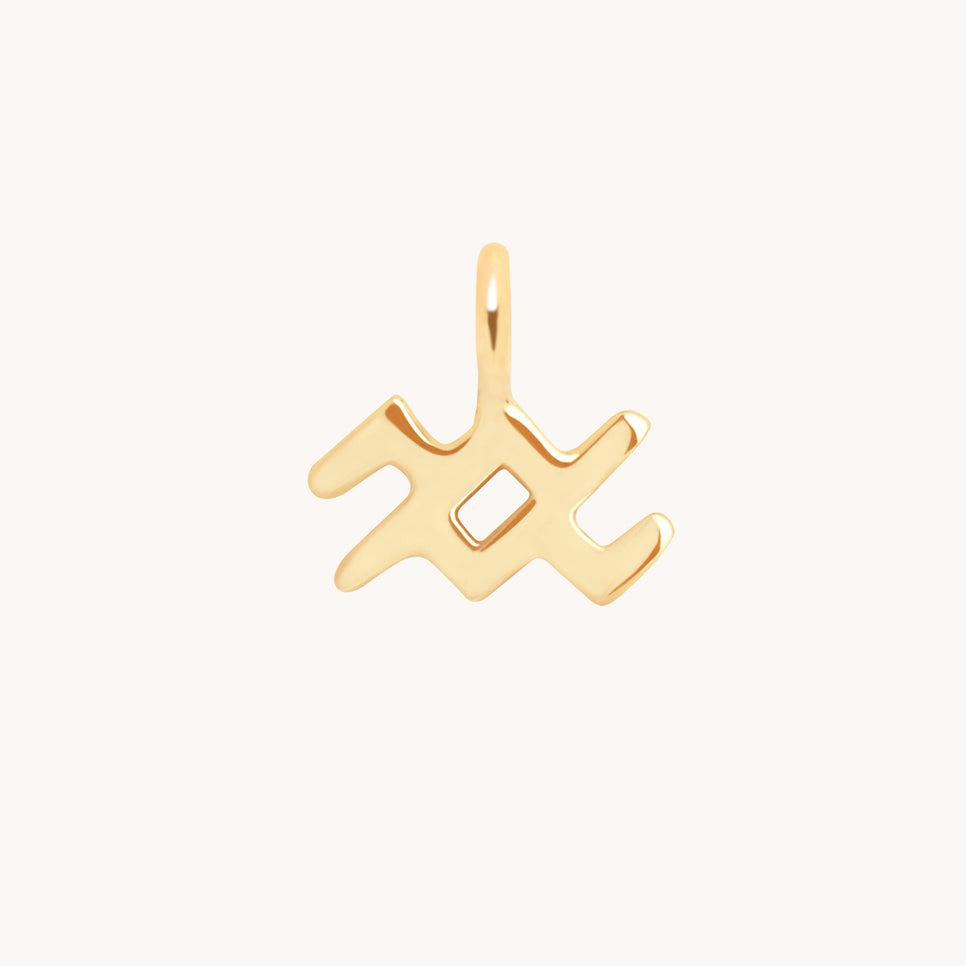 Aquarius Jewellery - Aquarius Zodiac Charm 9k Gold - Welding Charm - Astrid & Miyu