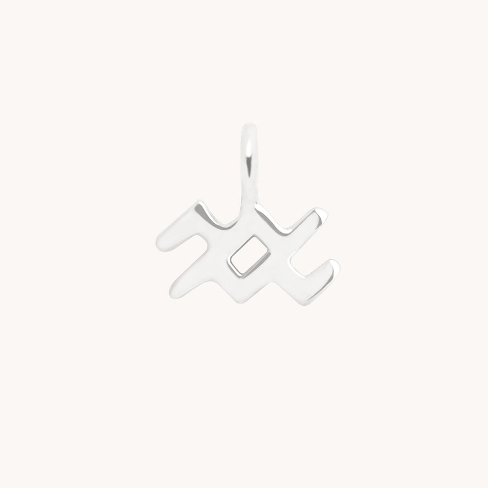 Aquarius Jewellery - Aquarius Zodiac Charm 9k White Gold - Welding Charm - Astrid & Miyu