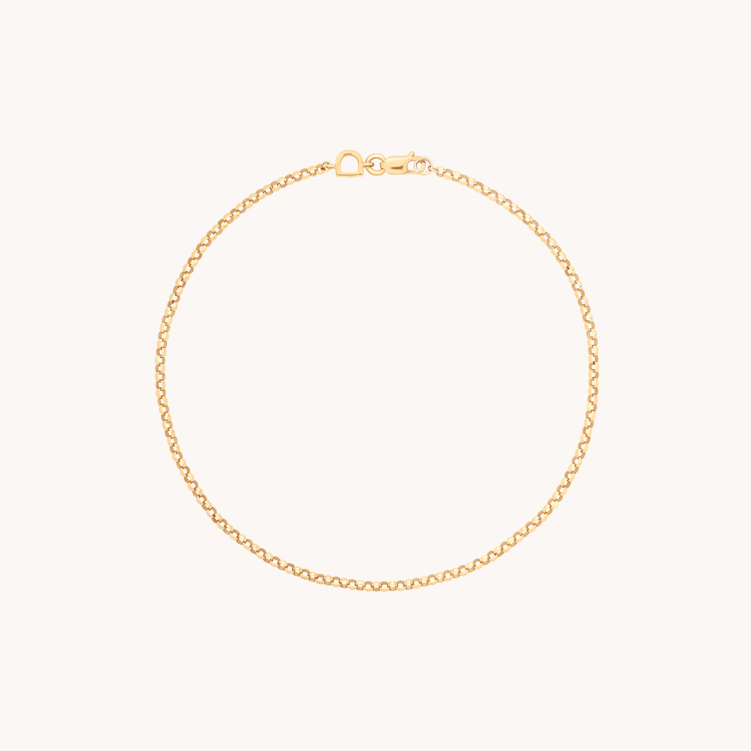 Chelsea Story Chain Bracelet in Solid Gold-Astrid & Miyu