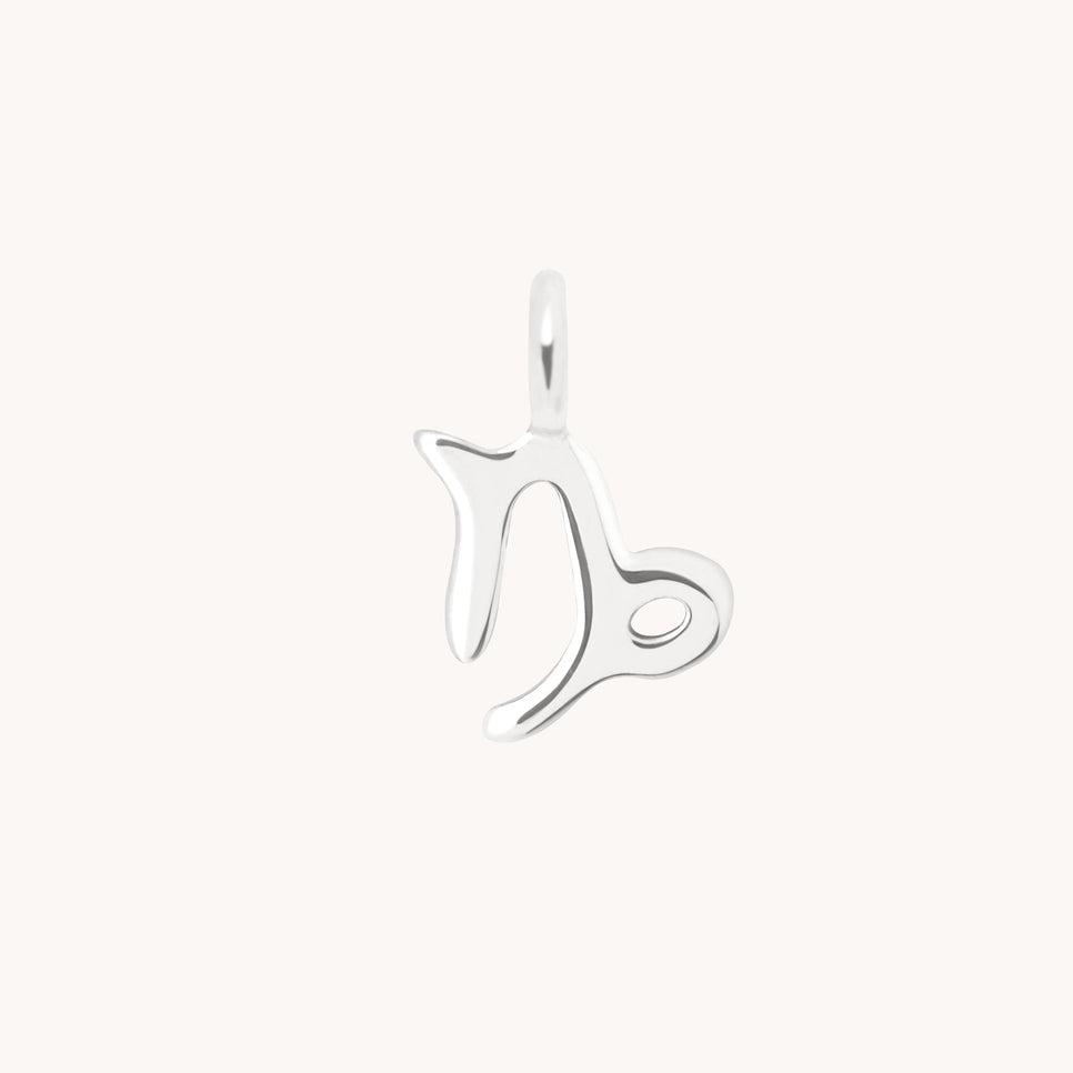 Capricorn Jewellery - Capricorn Zodiac Charm 9k White Gold - Welding Charm - Astrid & Miyu