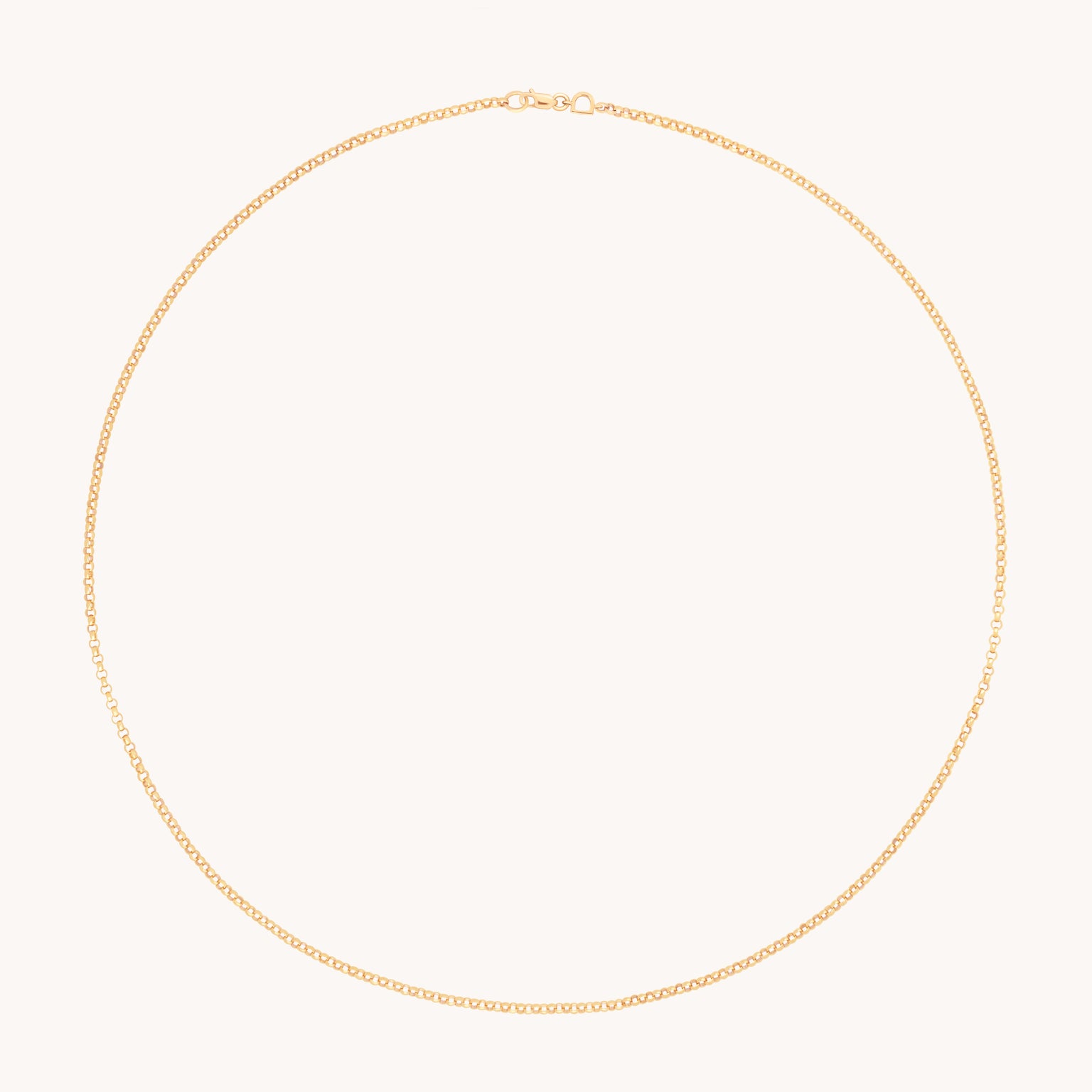 Chelsea Story Chain Necklace in Solid Gold-Astrid & Miyu
