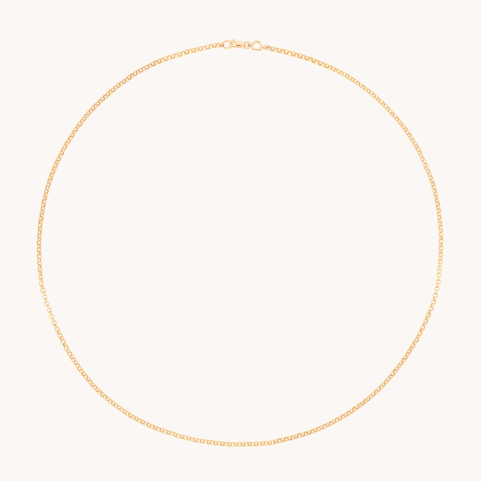 Chelsea Story Chain Necklace in Solid Gold-Astrid & Miyu