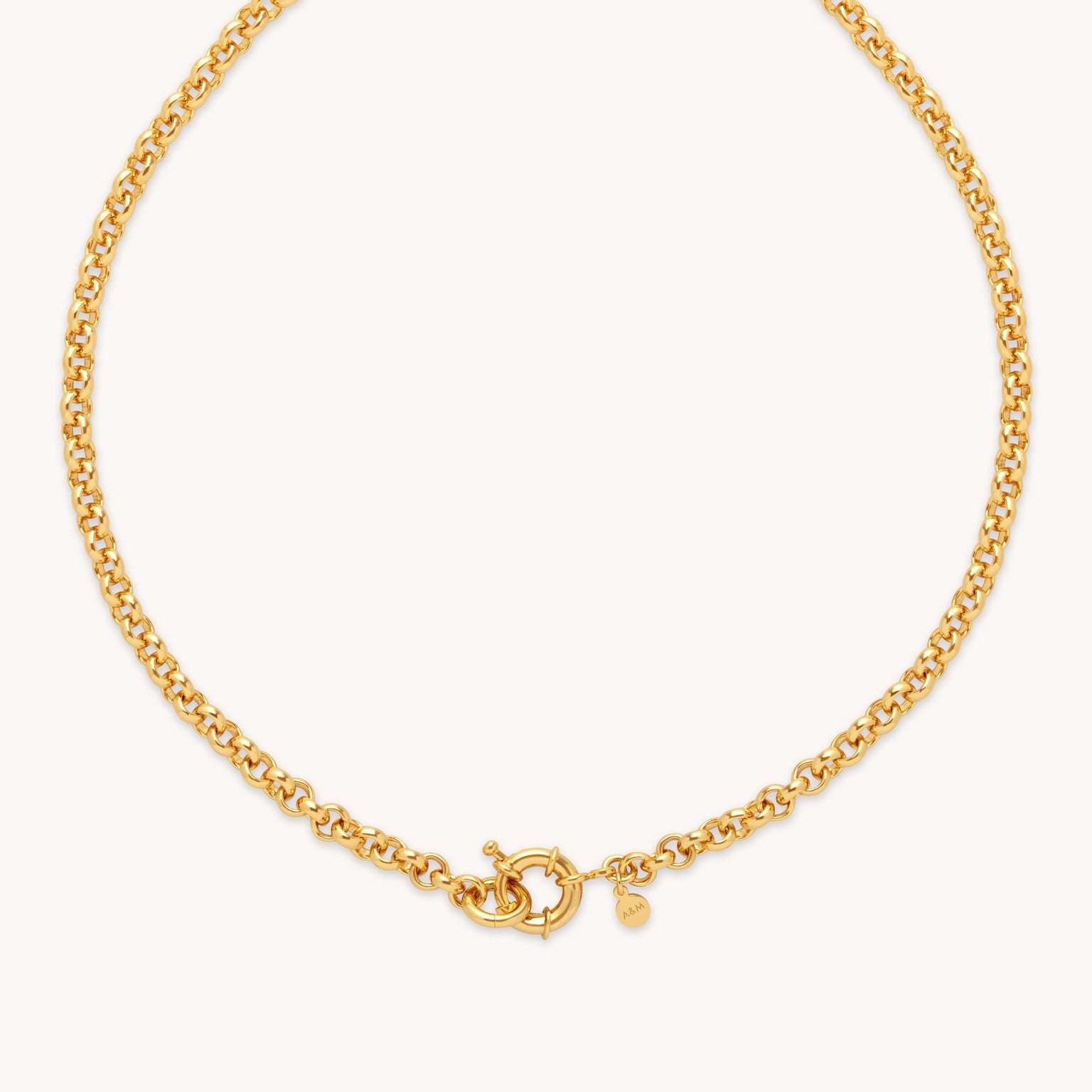 Rolo Chain Necklace in Gold