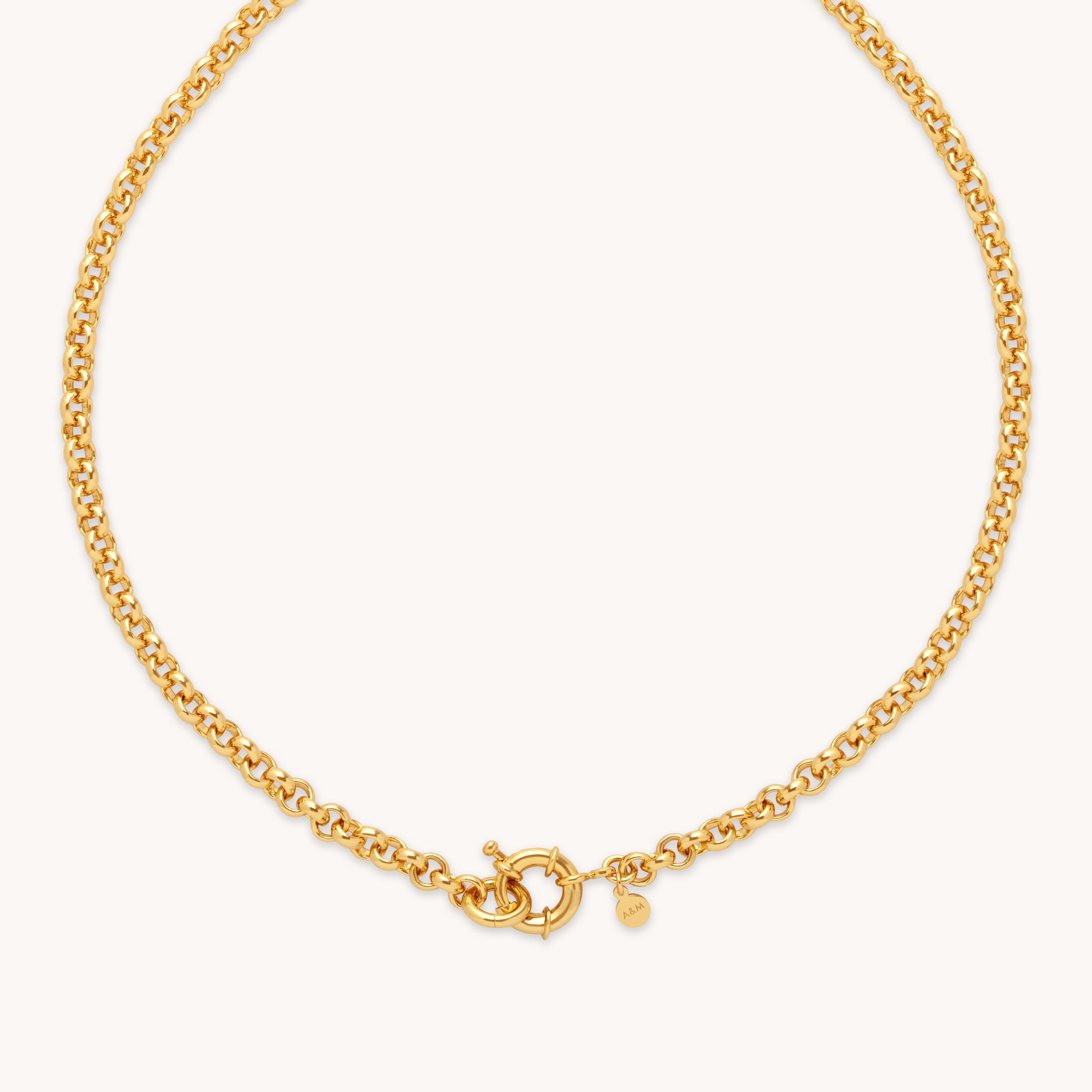 Rolo Chain Necklace in Gold