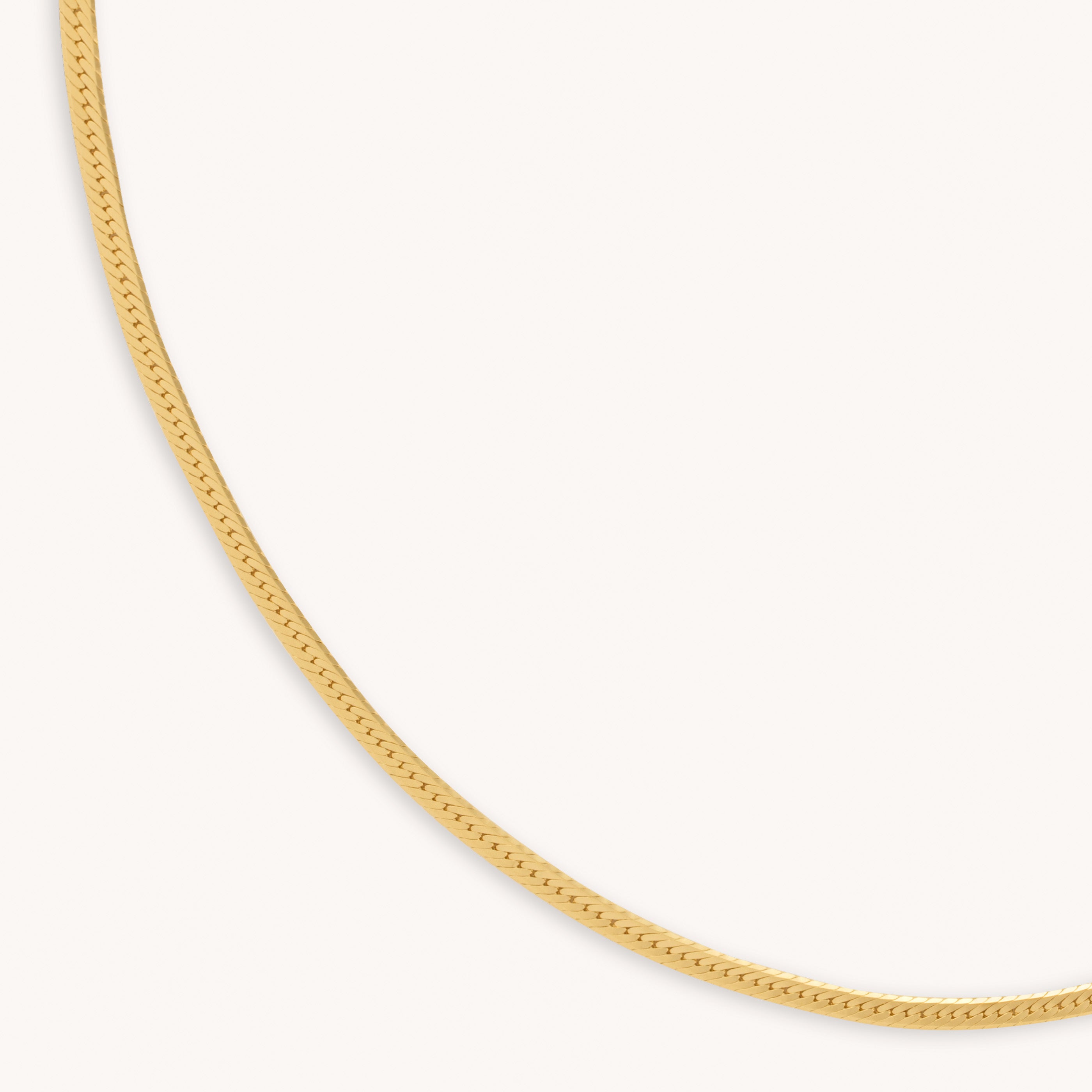 Snake Chain Gold Necklace | Astrid & Miyu