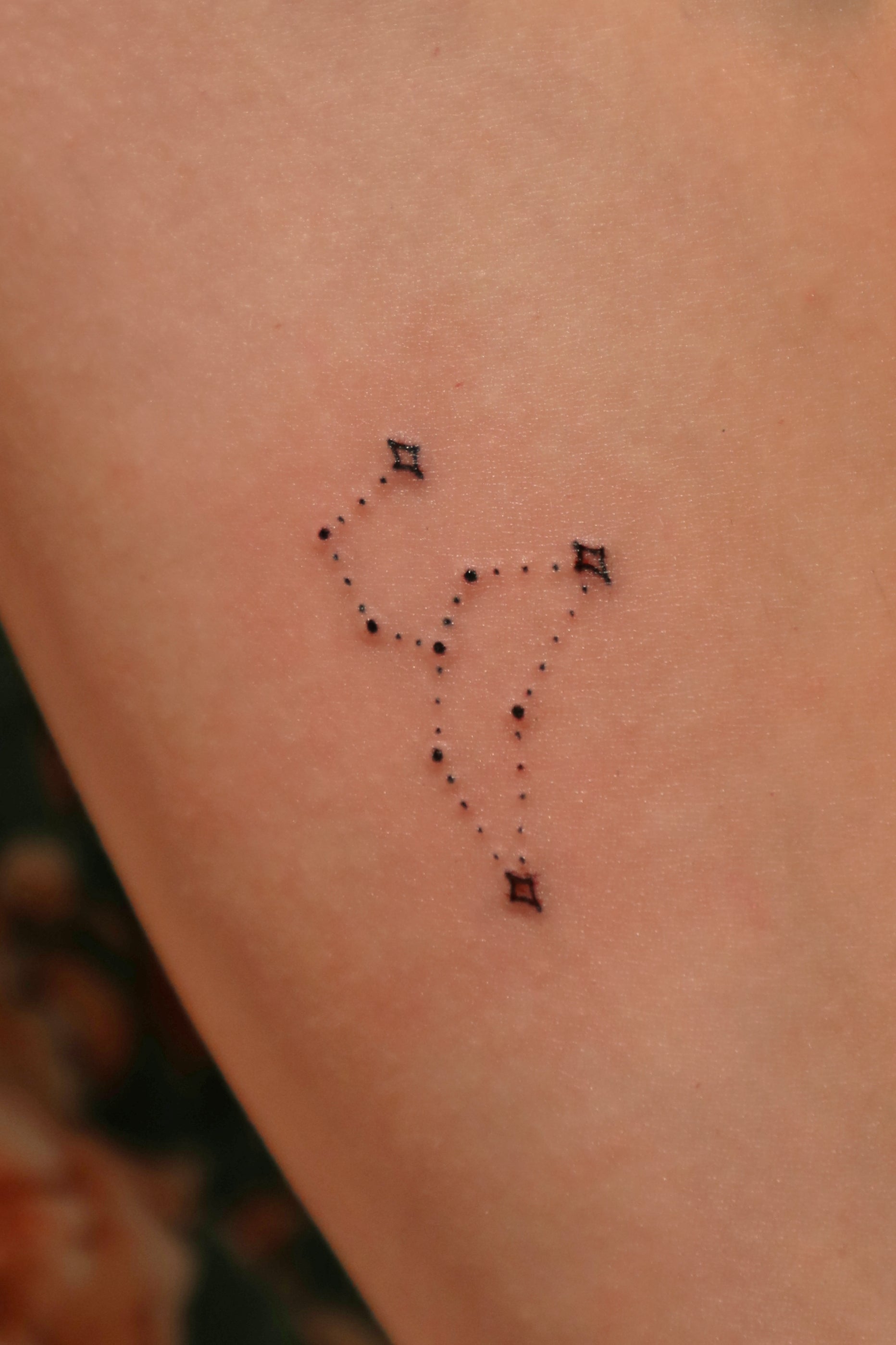 Small Pisces Constellation Temporary Tattoo - Set of 3 – Little Tattoos