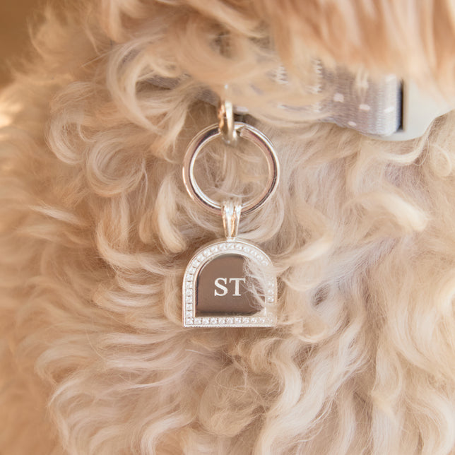 Pet Tags - Pavé Arch Pet Tag in Silver - Merchandise - Astrid & Miyu