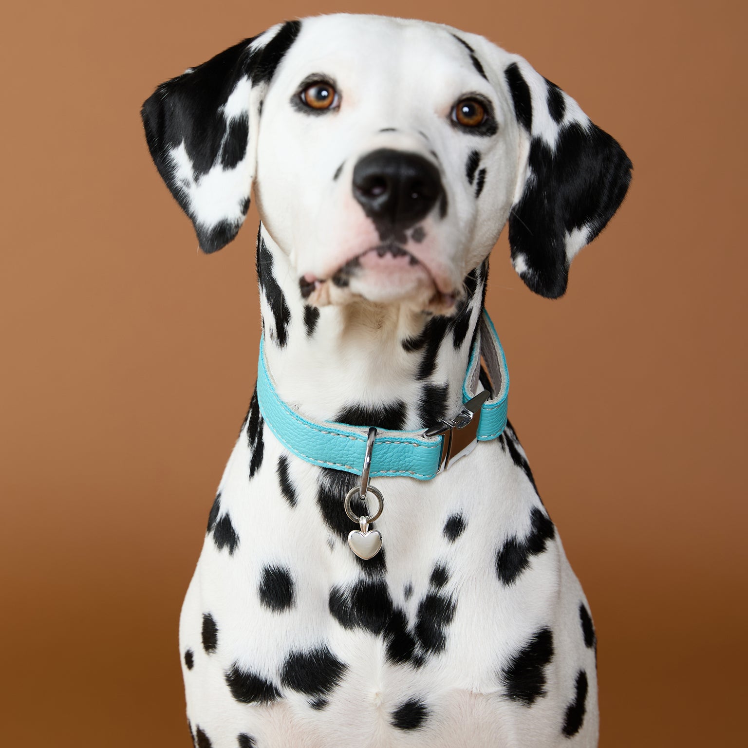 Pet Tags - Heart Pet Tag in Silver - Merchandise - Astrid &amp; Miyu