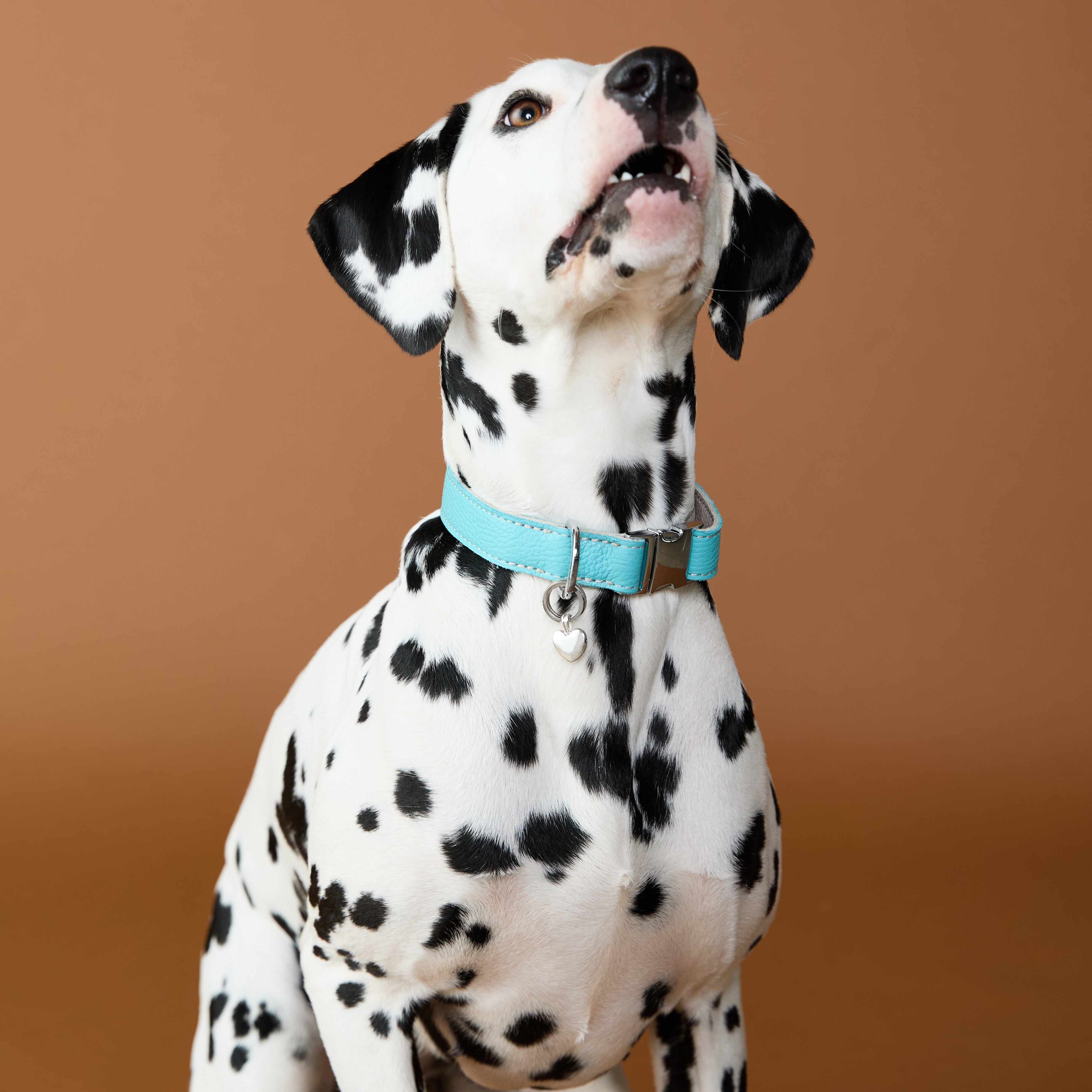 Pet Tags - Heart Pet Tag in Silver - Merchandise - Astrid &amp; Miyu